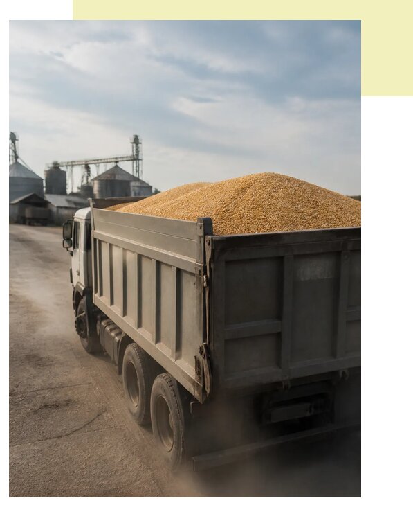 Перевозка сельхозпродукции навалом в Великие Луку по цене от 3101 р. | Агросервис-Вкл